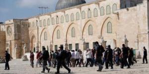 480 مستوطنًا يقتحمون المسجد الأقصى والاحتلال يشدد إجراءاته بالقدس