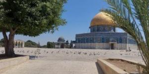 محافظة القدس: جماعات "الهيكل" تمهد لتحويل باب الرحمة لنقطة صلاة يهودية