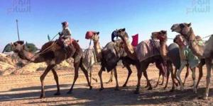مركز "وقاء" بالقصيم يشارك في النسخة التاسعة من مزاد الإبل السنوي