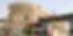 وزارة الصناعة الصيدلانية تدعو إلى طرح مخزونات الميتفورمين والليفوثيروكسين في السوق