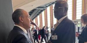 وزير الخارجية ونظيره الموريتانى يؤكدان أهمية مواصلة الارتقاء بالعلاقات الثنائية
