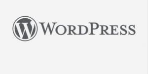 تنبيه أمنى لأصحاب المواقع..  ثغرة حرجة فى منصات WordPress