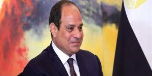 السيسي يستعرض الجهود المصرية الجارية لخفض التوتر وتجنب الانزلاق لموجة جديدة من التصعيد