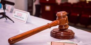 اليوم، أولى جلسات استئناف المتهمة بخطف رضيعة من مستشفى الحسين على حكم سجنها
