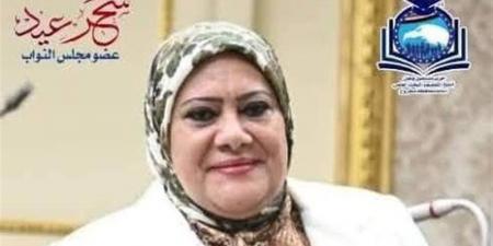 النائبة السابقة سحر عيد تكشف حقيقة الفيديو المتداول: "الموضوع مغلق قانونيًا منذ 2022"
