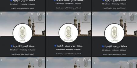توثيق «الصفحات الرسمية للمناطق الأزهرية» على مواقع التواصل الاجتماعي