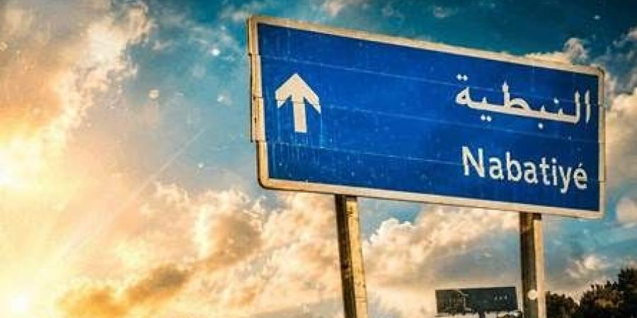 لماذا تركز إسرائيل على النبطية؟
