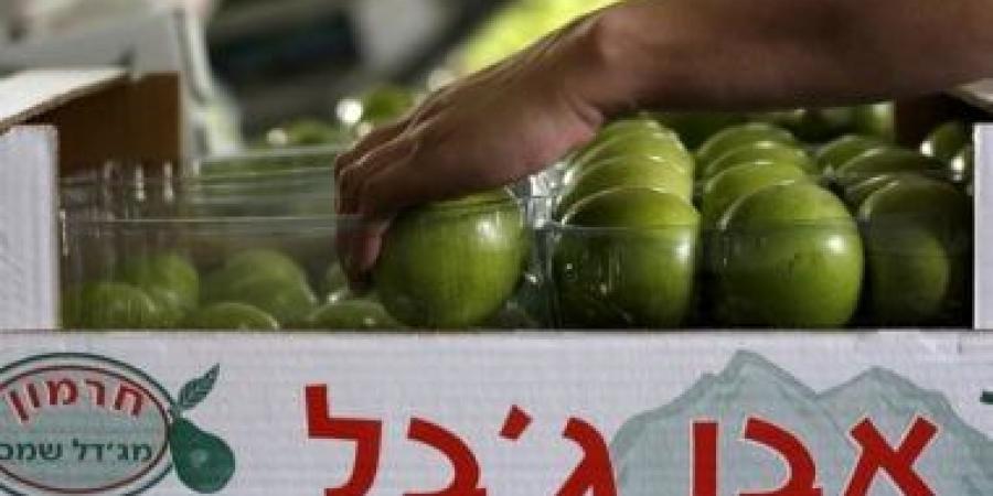 وزير الخارجية البريطاني يعلن تفاصيل حظر استيراد السلع من المستوطنات الإسرائيلية