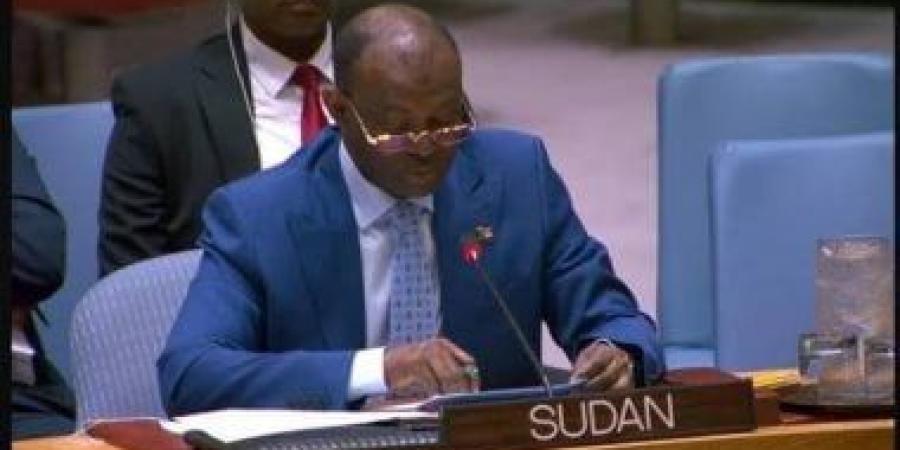 السودان لمجلس الأمن: لنا الحق فى إنتاج واقتناء الأسلحة لحماية سيادة البلاد