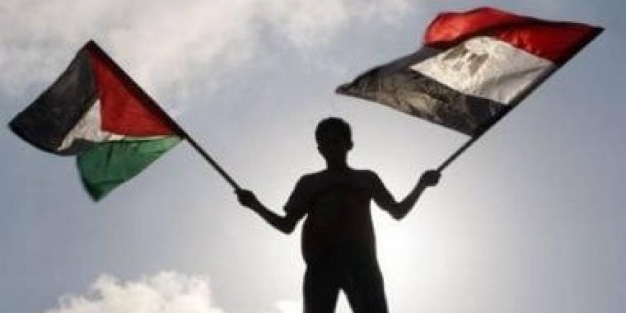 مسئول بالجامعة العربية: دور مصر محوري وأساسي في دعم القضية الفلسطينية