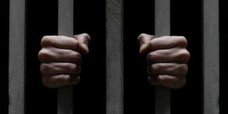 حبس المتهمين بقتل سائق توكتوك بالخطأ أثناء مشاجرة بالطالبية